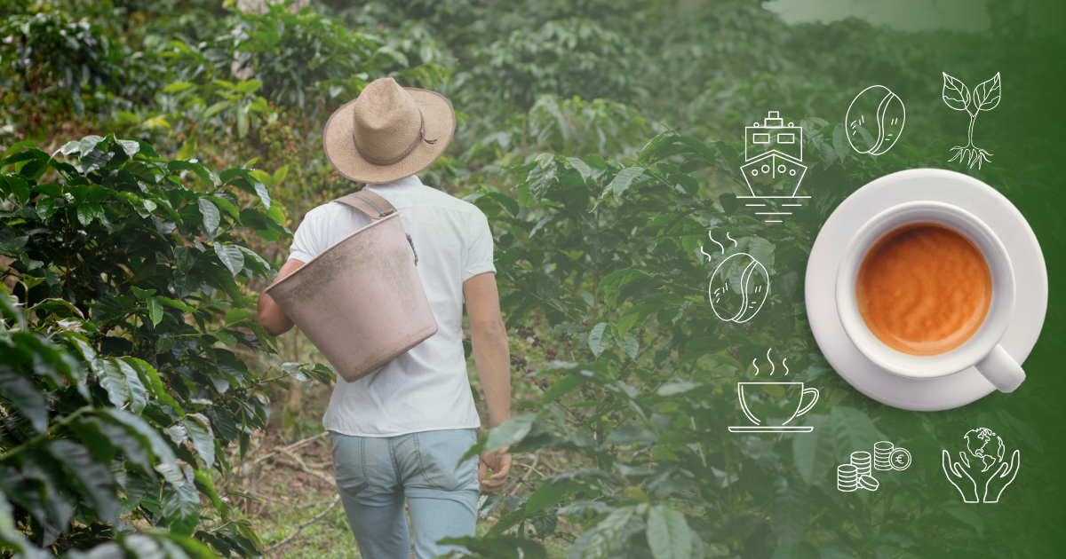 prezzo del caffè
