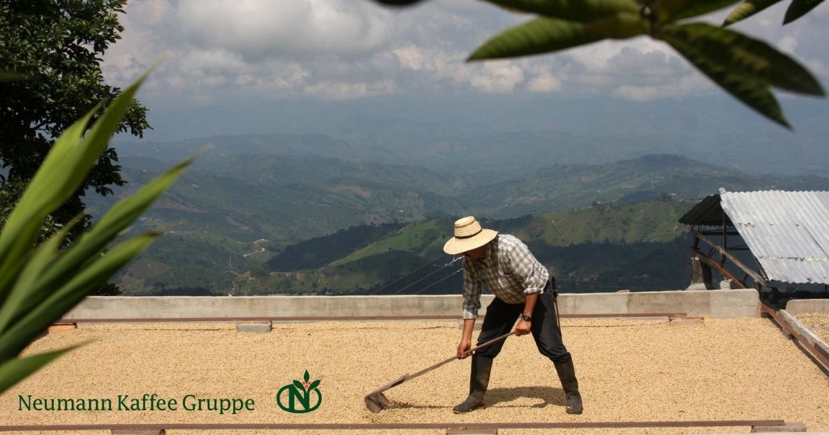sustainability in coffee